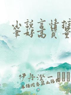 小说言情推荐文笔好高质量