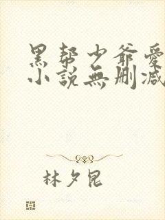 黑帮少爷爱上我小说无删减版