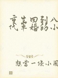 重生回到八零年代军婚的小说