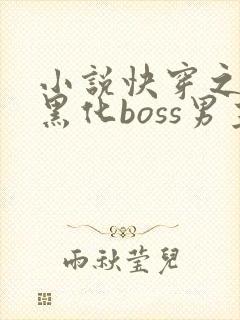 小说快穿之拯救黑化boss男主txt