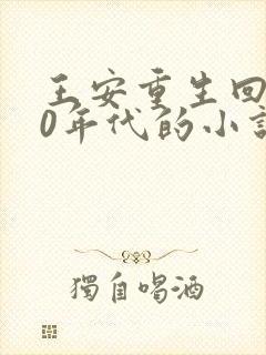 王安重生回到80年代的小说