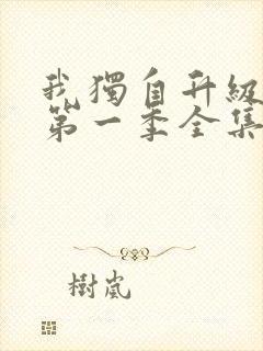 我独自升级动漫第一季全集免费观看