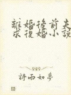 离婚后前夫哭着求复婚小说全文在线阅读