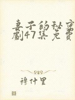 妻子的秘密电视剧47集免费