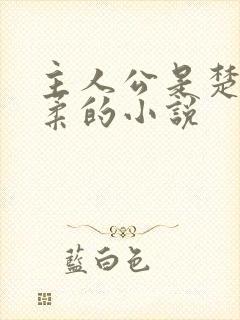 主人公是楚枫苏柔的小说