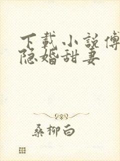 下载小说傅少的隐婚甜妻