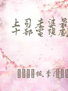 上司老婆最经典十部电视剧