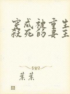 穿成被重生反派杀死的妻主(女尊) 雪羽冰影