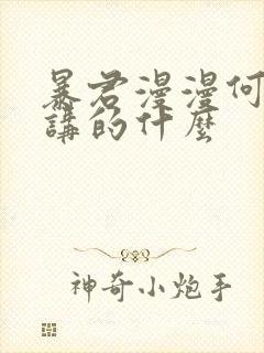 暴君漫漫何其多讲的什么