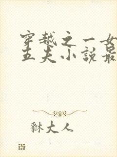 穿越之一女共侍五夫小说最新章节