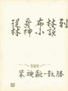 从哥布林到哥布林神小说