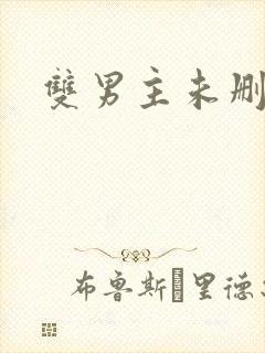 双男主未删减版