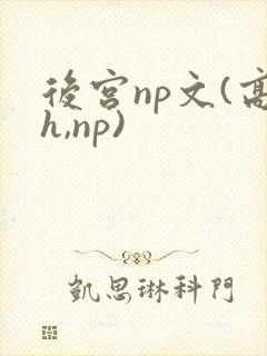 后宫np文(高h,np)