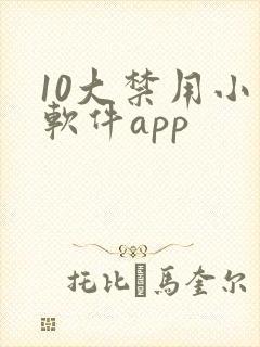 10大禁用小说软件app