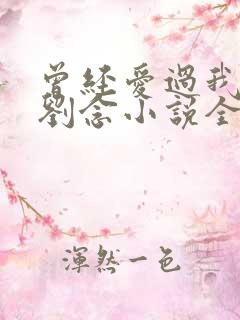 曾经爱过我林伟刘念小说全文免费阅读