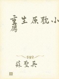 重生原耽小说推荐