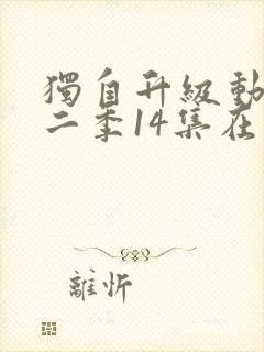 独自升级动漫第二季14集在线观看