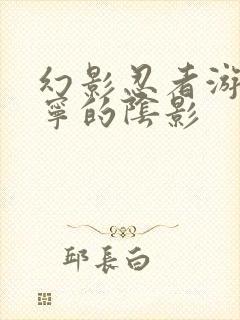 幻影忍者游戏罗宁的阴影