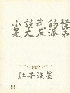 小说我的徒弟都是大反派第二部