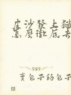 皮沙发上猫尿味怎么彻底去除