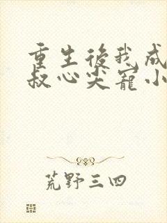 重生后我成了皇叔心尖宠小说