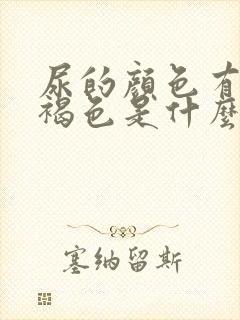 尿的颜色有点红褐色是什么原因女