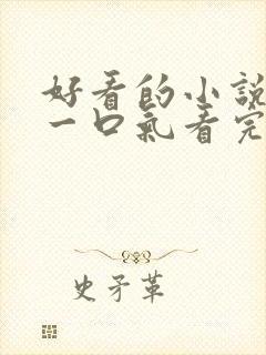 好看的小说推文一口气看完