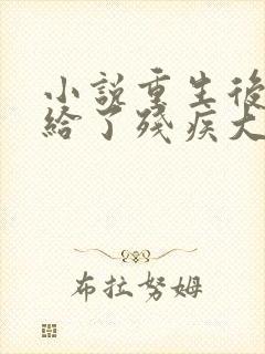 小说重生后我嫁给了残疾大佬