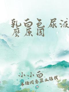 乳白色尿液是什么原因