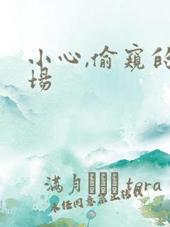 小心,偷窥的下场