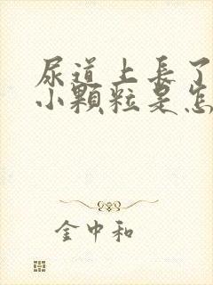 尿道上长了好多小颗粒是怎么回事