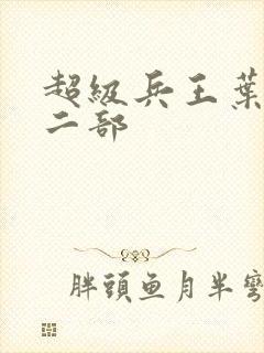 超级兵王叶谦第二部