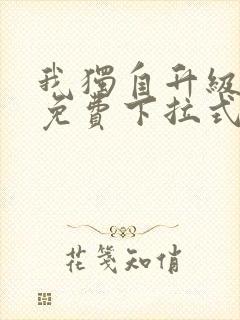 我独自升级动漫免费下拉式第二季