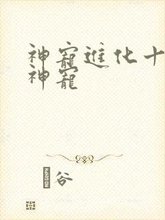 神宠进化十二个神宠