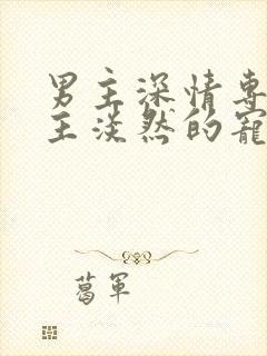 男主深情专一女主淡然的宠文