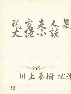 我家夫人是隐藏大佬小说