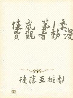 侠岚 第1季免费观看动漫