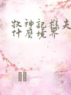 牧神记樵夫圣人什么境界