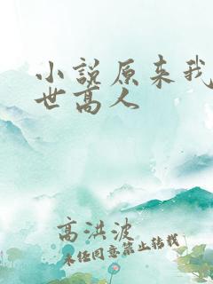 小说原来我是隐世高人