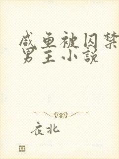 咸鱼被囚禁的双男主小说