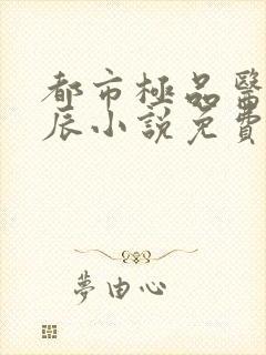 都市极品医神叶辰小说免费阅读