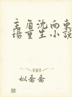 主角沈向东的官场重生小说