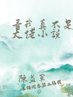 看我真不是女装大佬小说