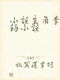 小说主角李辰安的小说