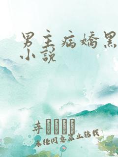 男主病娇黑化的小说