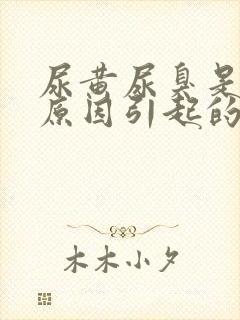 尿黄尿臭是什么原因引起的