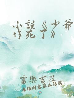 小说《少爷又在作死了》