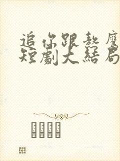 追你跟熬鹰似的短剧大结局