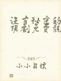 没有秘密的你电视剧免费观看