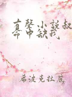 有声小说叔,你命中缺我